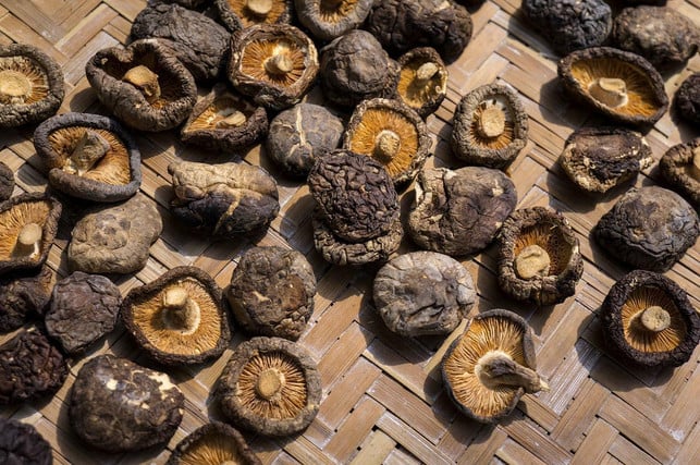 inwieweit-shiitake-eine-wirkung-auf-unsere-gesundh-cc0-pixabay-6437364-220523_download Inwieweit Shiitake eine Wirkung auf unsere Gesundheit haben, ist bislang noch nicht abschließend wissenschaftlich geklärt.