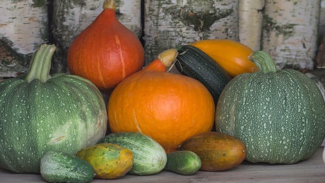 neben-wassermelone-sind-auch-kuerbis-und-gurke-natue-cc0-pixabay-domeckopol-220906_download Neben Wassermelone sind auch Kürbis und Gurke natürliche Citrulin-Quellen.