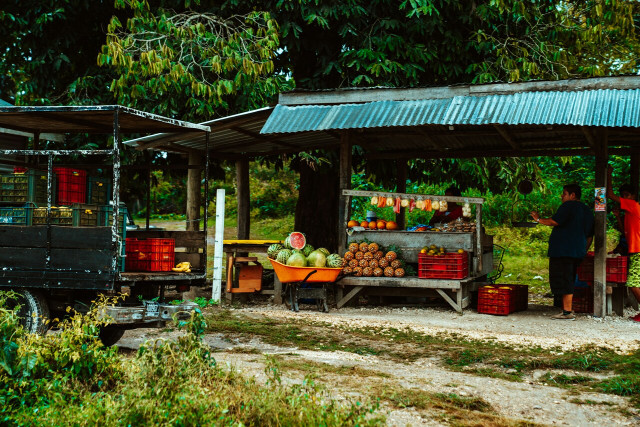 It is better to buy fruit whole so that you can wash and peel it yourself with proper hygiene.