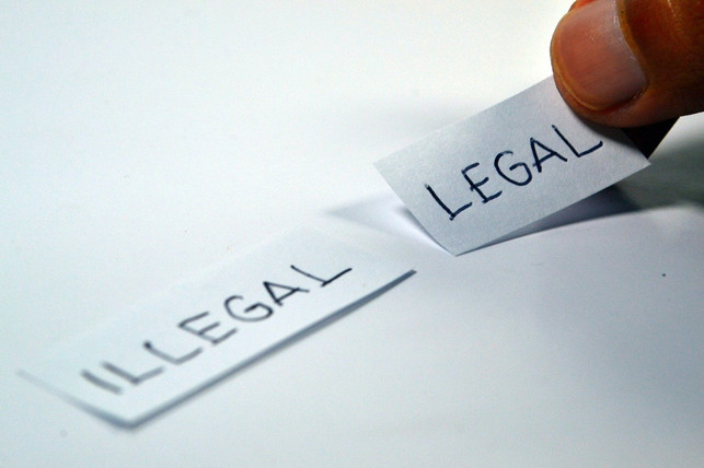 oekozide-sollen-nach-forderungen-von-aktivistinnen-cc0-pixabay-ramdlon-210602_download Ökozide sollen nach Forderungen von Aktivist:innen strafbar gemacht werden.