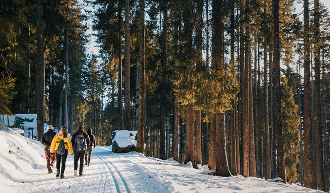 on your winter walk you shouldn't cc0-pixabay-lukasbieri-230129_download On your winter walk you should not be too cold but not too warmly wrapped up either.