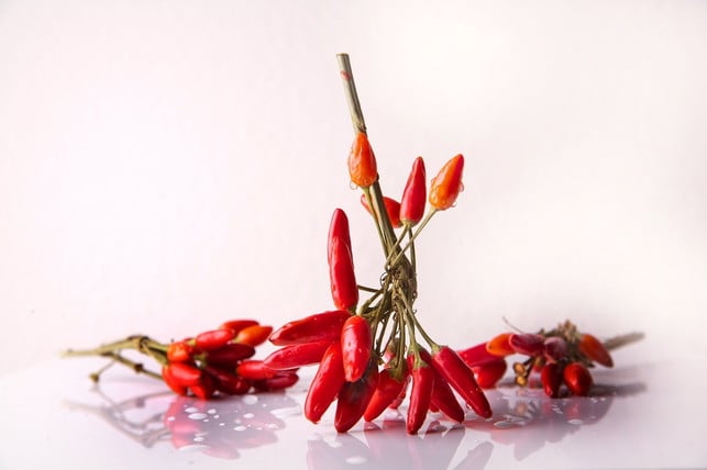 wenn-du-scharfe-gewuerze-nicht-gut-vertraegst-kanns-cc0-pixabay-sponchia-180731_download Die scharfen Chilis sind ein Gewürz, dass gegen die Arthrose wirksam ist.
