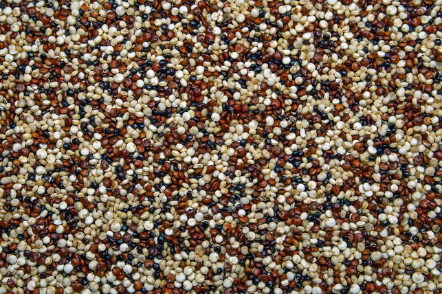 quinoa-hat-viele-wertvolle-inhaltsstoffe-cc0-pixabay-camera-man-240813_download Quinoa hat viele wertvolle Inhaltsstoffe.