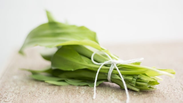 baerlauch-trocknen-cc0-pixabay-mivargof-220312 bärlauch trocknen