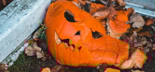 Halloween-Doku entsorgen