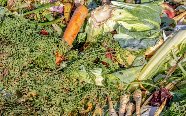 Lebensmittelverschwendung Essenreste Müll Lebensmittelverschwendung Essenreste Müll