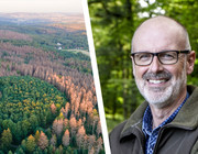 Peter Wohlleben zur Waldzustandserhebung