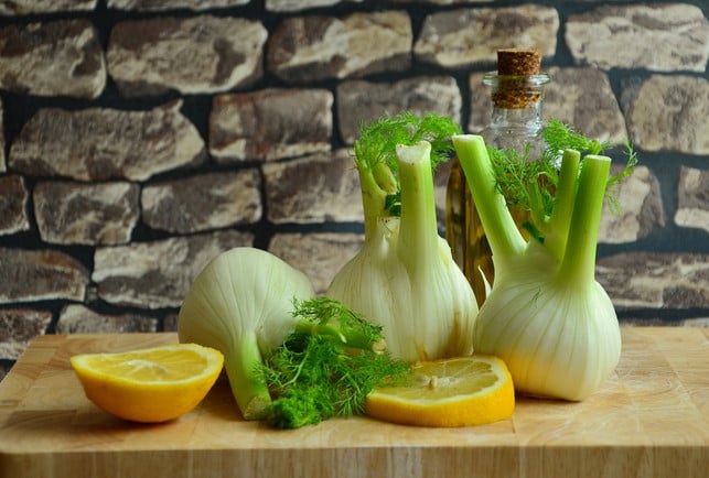 die-essbaren-blaetter-des-fenchels-schmecken-zum-be-cc0-pixabay-congerdesign-221103_download Die essbaren Blätter des Fenchels schmecken zum Beispiel als Zutat für Salate und Suppen.