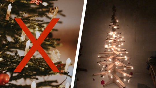 3 Weihnachtsbaum-Alternativen im Test: So wird’s auch ohne Tanne festlich 3 Weihnachtsbaum-Alternativen im Test: So wird’s auch ohne Tanne festlich
