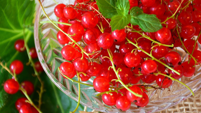 johannisbeersirup-cc0-pixabay-ritae-190327 Johannisbeersirup