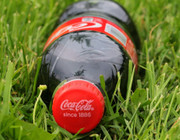 greenwashing skims coca cola Changing Markets Foundation