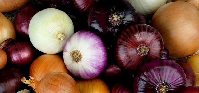 Rote oder weiße Zwiebeln