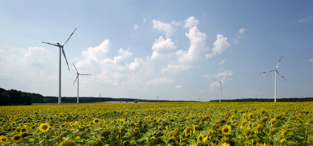 In der Lausitz stehen die beiden Windparks Buchhain I und Buchhain II. Seit Anfang 2012 erzeugen die sieben 150 Meter hohen Windenergieanlagen Ökostrom, der den jährlichen Bedarf von knapp 10.000 Haushalten deckt.