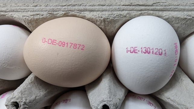 eier-code-bio-freiland-bw-240319-1280x720 Der Ei-Code eines Bio-Eis (links) und eines Eis aus Freilandhaltung (rechts): Die erste Ziffer zeigt die Haltungsform. 0 = Bio / 1 = Freiland