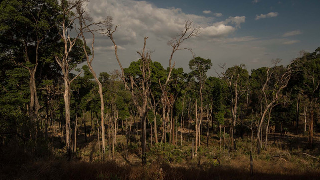 grad.jetzt_Klimakipppunkte.jpg Klimakipppunkte