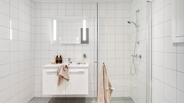 katzenstreu-als-luftentfeuchter-cc0-pixabay-lisaphotos195-250321 Katzenstreu als Luftentfeuchter