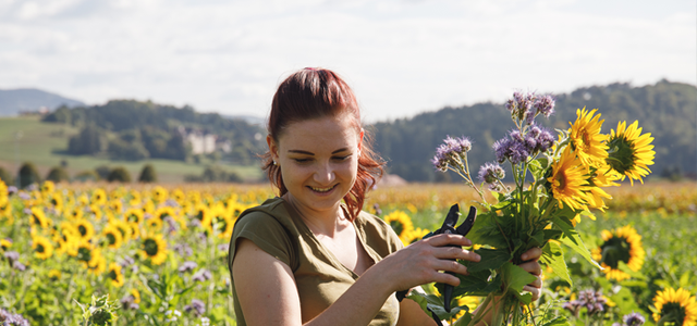 Goldener Herbst am Bauernhof