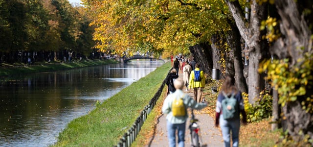 Zecken-Saison vorbei? Wo du auch im Herbst und Winter aufpassen musst