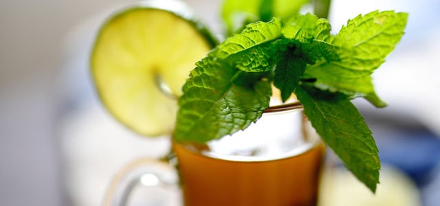 Der ideale Tee für die Nacht: Unterstützt die Verdauung und beugt Blähungen vor (Foto: CC0 / Pixabay / congerdesign) Fenchel-Minztee der ideale Tee für die Nacht