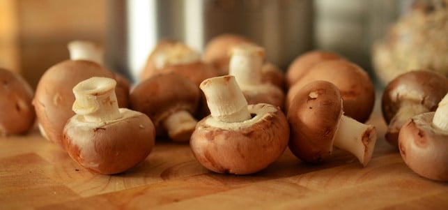 vitamin-b5-Pantothensaeure-pilze-z-pexels-160831-1280x600 Vitamin B5 / Pantothensäure