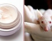 Kosmetik ohne Tierversuche erkennen