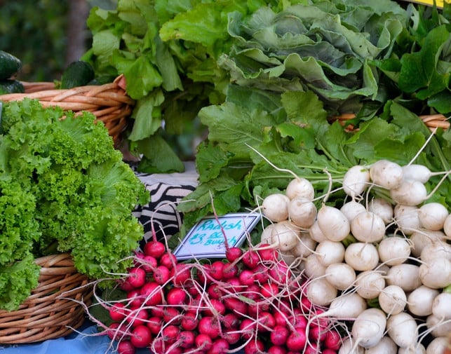 gerade-im-sommer-ist-rettichsalat-eine-beliebte-zw-cc0-pixabay-paulbr75-190207_download Gerade im Sommer ist Rettichsalat ein beliebtes Gericht.