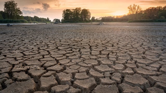 Die Attributionsforschung zeigt: Hitzewellen, Dürren und Starkregen werden durch den Klimawandel häufiger und intensiver.