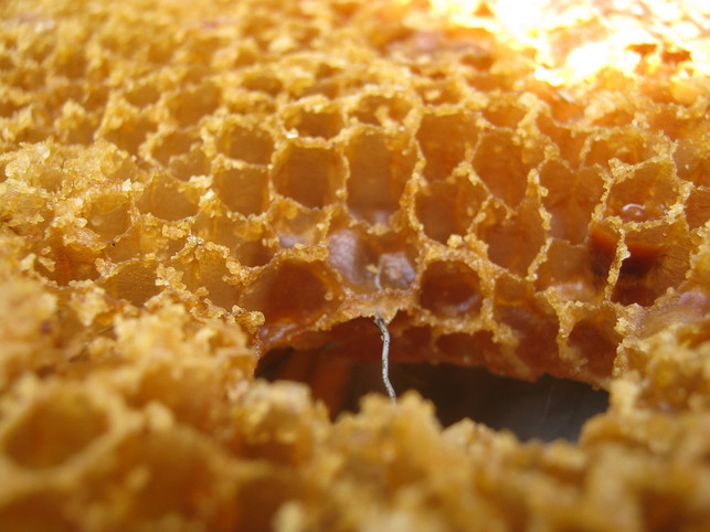 pferdebalsam-kann-mit-bienenwachs-oder-carnaubawac-cc0-pixabay-claramd-211214_download Pferdebalsam kann mit Bienenwachs oder Carnaubawachs hergestellt werden.