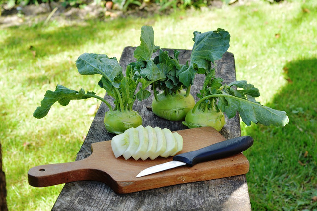 kohlrabi-im-kuehlschrank-zu-lagern-empfiehlt-sich-cc0-pixabay-utroja0-250122_download Kohlrabi im Kühlschrank zu lagern empfiehlt sich, wenn du ihn nicht sofort zubereiten willst.