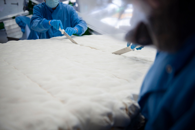 pilzmyzel-alleine-eignet-sich-besonders-fuer-leicht-ecovative-220121_download Pilzmyzel alleine eignet sich besonders für leichte und gut isolierende Bausteine.