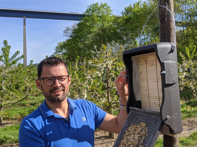 Fledermaus Nisthilfe Fledermaus Nisthilfe Biodiversität