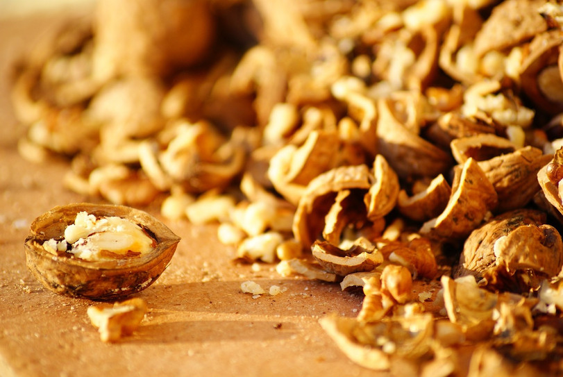 Walnussschalen Gegen Schnecken
