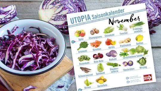 saisonkalender-utopia-november-cpb-200522-1280x720 Utopia Saisonkalender November