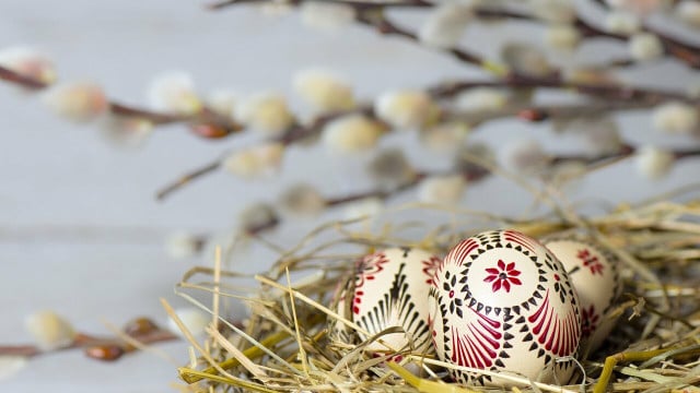 eier-ausblasen-cc0-pixabay-peggychoucair-220401 eier ausblasen