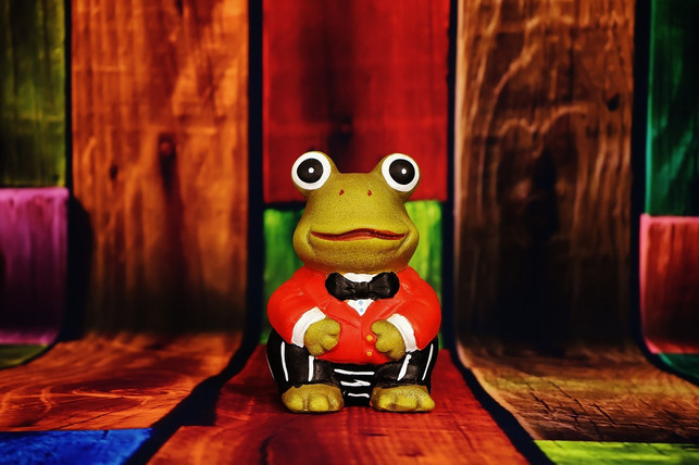 macht-ein-anzug-den-frosch-zum-prinzen-der-halo-e-cc0-pixabay-alexas_fotos-230306_download Macht ein Anzug den Frosch zum Prinzen? Der Halo-Effekt verknüpft äußere Merkmale mit wünschenswerten Eigenschaften.