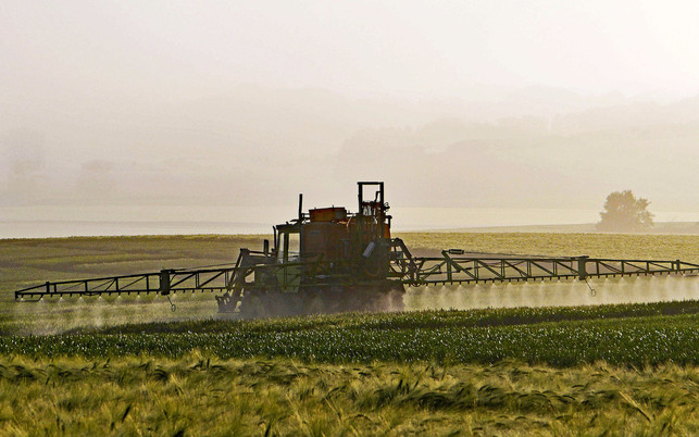 pestizide_01_180406_1280x800 Pestizide tragen zum Bienensterben bei.