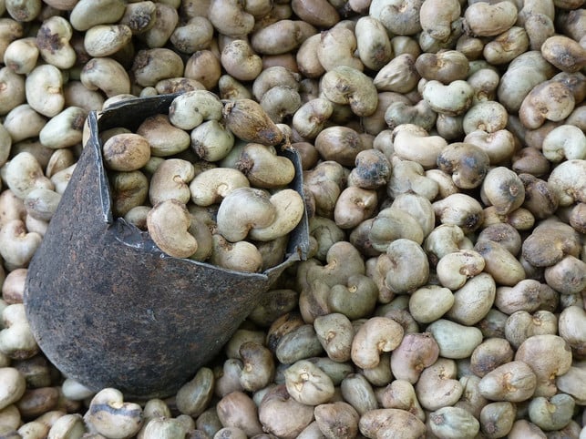 cashews-sind-gesund-allerdings-entstehen-beim-roe-cc0-pixabay-loggawiggler-190125_download Cashews sind gesund - allerdings entstehen beim Röstern gesundheitsgefährdende Dampföle, unter denen die Arbeiter häufig leiden.