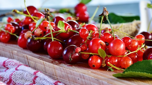 wasche-die-sauerkirschen-gut-ab-bevor-du-sie-zu-e-cc0-pixabay-ritae-240812_download Wasche die Sauerkirschen gut ab, bevor du sie zu einem Sauerkirschkuchen weiterverarbeitest.