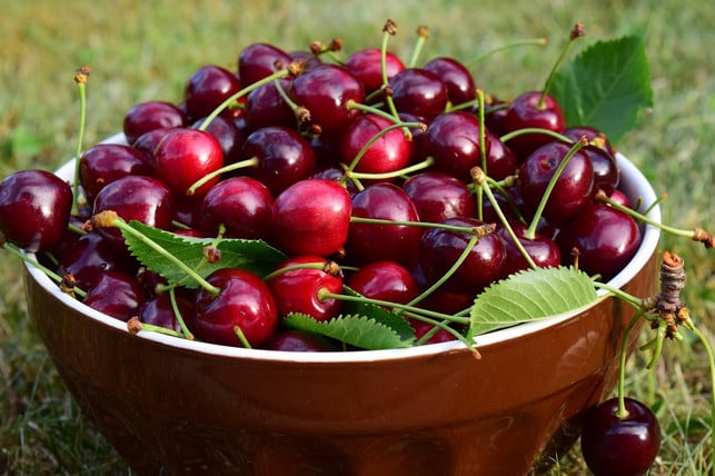 verwende-bevorzugt-bio-kirschen-fuer-deinen-schoko-cc0-pixabay-ulleo-200125_download Verwende bevorzugt Bio-Kirschen für deinen Schoko-Kirsch-Kuchen.
