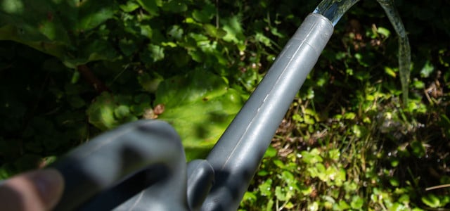 Schonend gießen mit der Gießkanne - ohne Brauseaufsatz