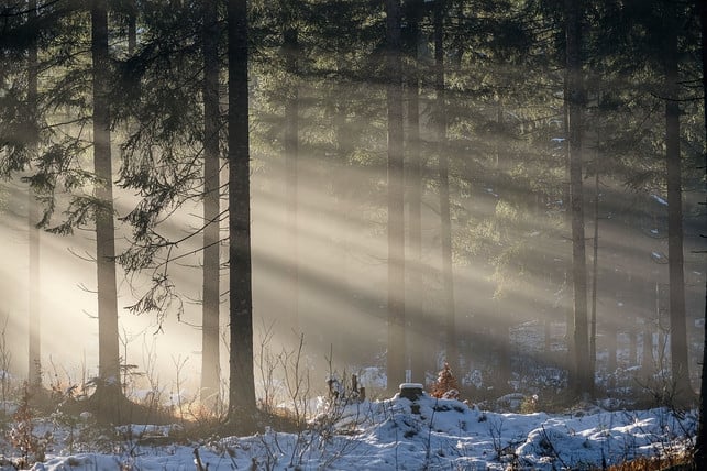 die-wintersonnenwende-markiert-den-kuerzesten-tag-d-cc0-pixabay-shogun-231210_download Die Wintersonnenwende markiert den kürzesten Tag des Jahres.
