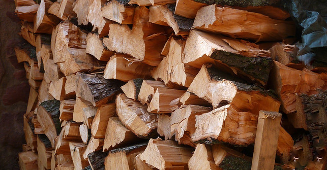 fledermaeuse-verbringen-ihren-winterschlaf-gerne-in-cc0-pixabay-moritz320-191206_download Fledermäuse verbringen ihren Winterschlaf gerne in Brennholzhaufen.