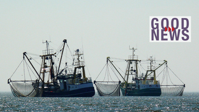 Gericht verbietet Grundschleppnetz-Fischerei in Meeresschutzgebieten Zwei Fischkutter mit ausgelegten Fangnetzen auf ruhigem Wasser unter klarem Himmel. Rechts oben befindet sich ein Schriftzug mit dem Text „GOOD NEWS“ in lila und roten Pfeilen.
