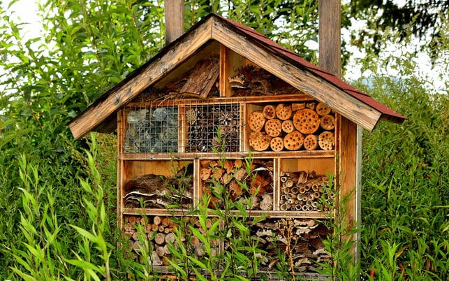 insektensterben-insektenhotel-c-170802-1280x800 Insektenhotel