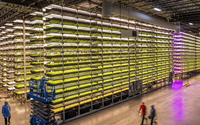 Vertical-Farming-Farms-Aerofarms-2-20190226-1280x800 Vertical-Farming-Farms-Aerofarms