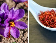 Safran Gewürz Krokus sativus