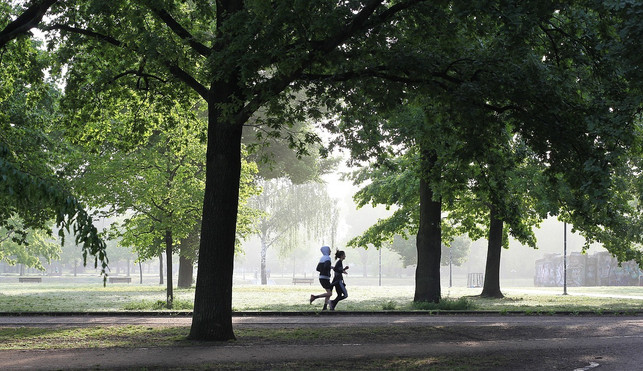 Fuer-Sport-in-der-Lunchenspause-Gelten-Natuer-All-Cc0-Pixabay-Wal_172619-230421_Download If you feel sick or struck, you shouldn't do sports during lunch break.