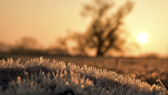 rauhnaechte-cc0-pixabay-peggychoucair-230223 Rauhnächte