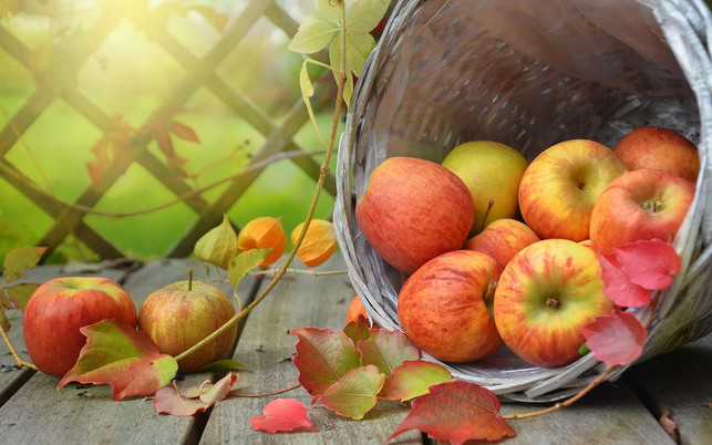 von-august-bis-november-ist-apfelsaison-und-somit-cc0-pixabay-castleguard-180809 Äpfel: Öko-Test prüfte die Pestizidbelastung und betrachtete die Nachhaltigkeit der Lagerung