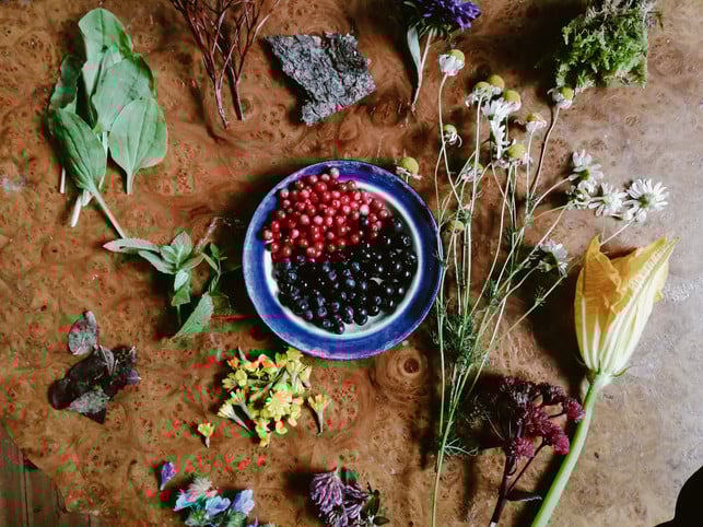 du-kannst-pflanzenfarben-aus-den-meisten-naturobje-paula-boslau-220903_download Du kannst aus den meisten Naturobjekten Pflanzenfarben herstellen.